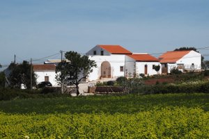 Image of the Quinta das Alagoas in Portugal